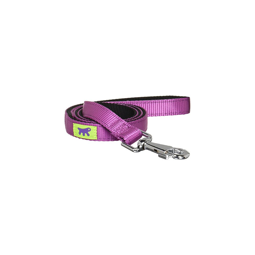 Dual Purple Nylon Dog Lead (Medium)