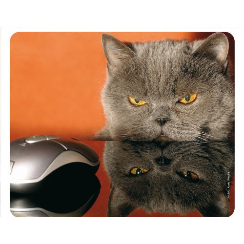 GRUMPY CAT Funny Computer Mouse mat / quality mousepad made of extremely tear-resistant special rubber with a strongly adherent underside for optimal