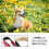 Dog Training Collars 4