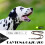 Dog Training Collars 2