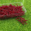 200PCS Artificial Earthworm Fishy Smell Biomimetic Fishing Lure Soft Baits Simulation Bait Bloodworm Fake Redworm for Freshwater and Saltwater 6