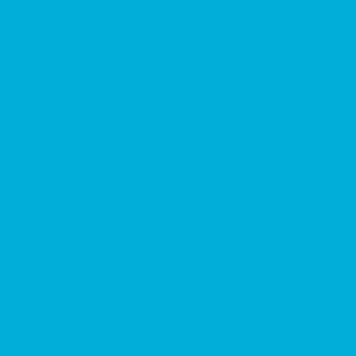 4450984 Professional Spray Paint, Fluorescent Blue, 400 ml 1