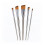 Zen 5 Piece All Media Angular Paint Brush Set,Gold,L 5