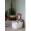 Curver Knit Effect Set of 5 Kitchen, Living room, Bathroom, Bedroom, Utility Large Rectangular Storage Baskets 19 Litres - Oasis White 3