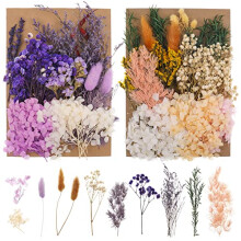 2 Packs Real Natural Dried Flowers, Mixed Dried Pressed Flowers and Leaves Set Artificial Everlasting Flowers for DIY Arts Resin Scrapbooking Jewelry