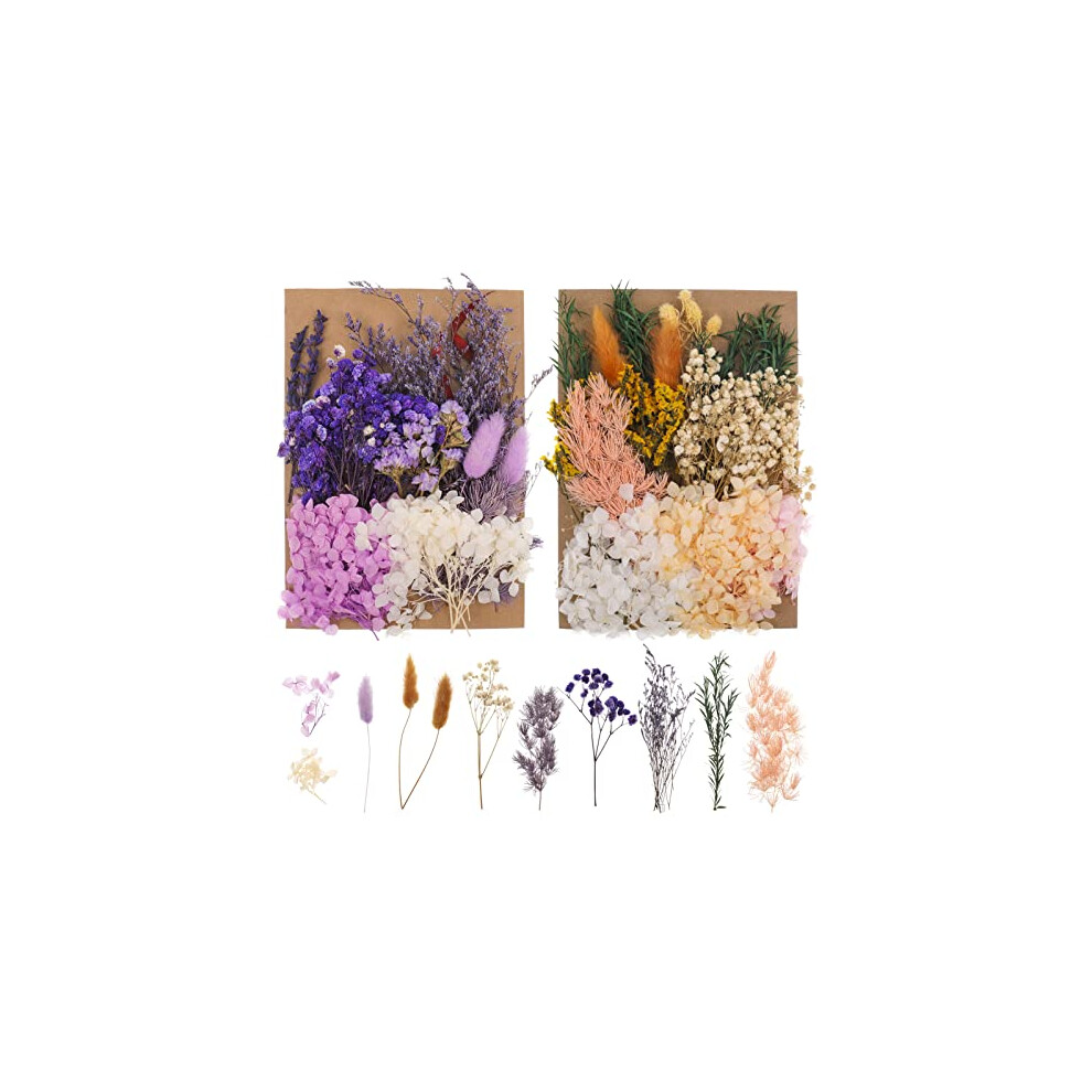 2 Packs Real Natural Dried Flowers, Mixed Dried Pressed Flowers and Leaves Set Artificial Everlasting Flowers for DIY Arts Resin Scrapbooking Jewelry