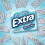 Smooth Mint Sugarfree Gum (Pack Of 10) 2