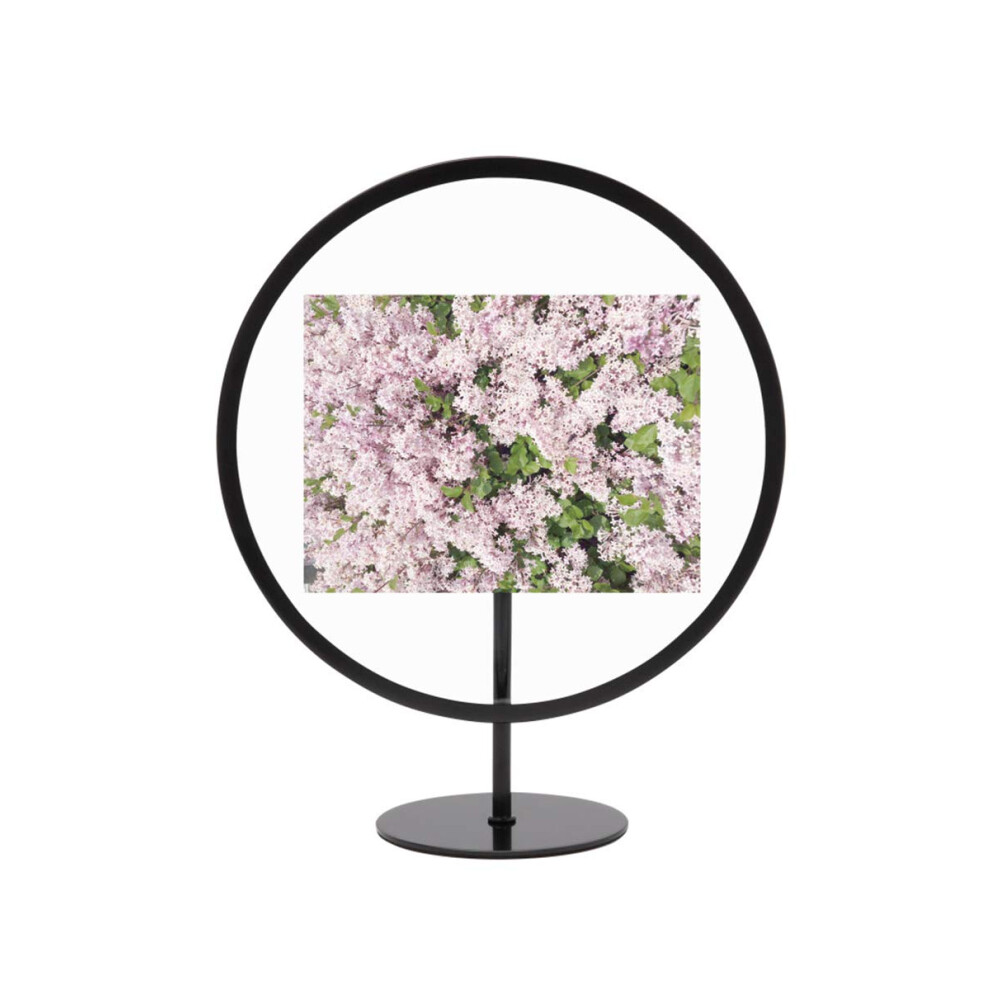 Photos - Photo Frame / Album Umbra Infinity Picture Frame, Unique Circular Photo Frame For Desk or Wall, Black, 4X6\