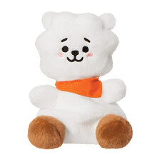 Aurora, 61505, BT21 RJ Palm Pal, 5In, Eco-friendly soft toy, White - Plush Soft Toy