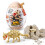 Zuru Skip Hop Zoo Narwal PP Flasche lila - 9N567310 3