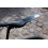 Parafango per bici da corsa - ZEFAL - Shield S10 - Leggero e facile da installare - Nero 7