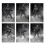 NECA - Universal Monsters Ultimate Wolf Man B&W 7 Action Figure,White 4