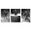 NECA - Universal Monsters Ultimate Wolf Man B&W 7 Action Figure,White 5