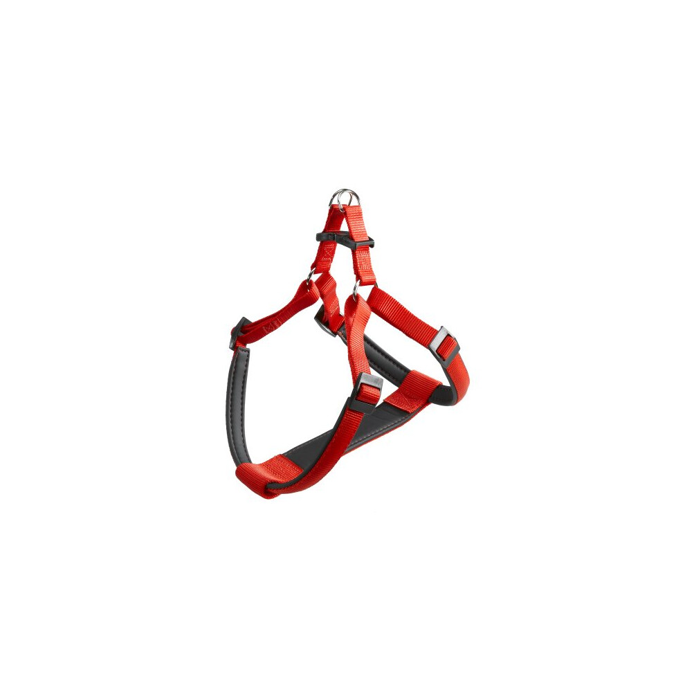 Daytona P Dog Harness, M, 51 - 55 cm/ 53 - 61 cm, Red