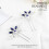 Pearl Wedding Hair Pins Crystal Hair Clips Headpiece Bridal Hair Accessories for Women and Girls (Blue) 2