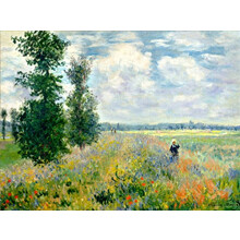 Paint by Numbers Kits for Adults Kids, DIY Number Painting - Monet Tea Tree Flowers 40 x 50 cm - New Stamped Canvas (Frameless)
