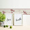 2496-30 Border Collection Only Borders 9, Multi-Colour 3