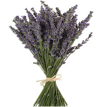 Natural Lavender Bundles, Freshly Harvested 400 Stems Dried Lavender Bunch 16" - 18" Long, Decorative Flowers Bouquet for Home Decor, Crafts, Gift,