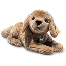 076886 Lenny labrador 23 brown