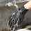 (Dark Blue, xxL) Winter Gloves Touch Screen 6