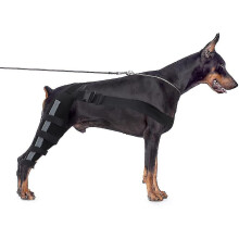 (Black, L) Dog Knee Brace, Dog Double Rear Leg Brace With Reflective Seat Belts, Adjustable Dog Back Leg Brace For Acl Wounds