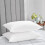 (White) Hotel Quality Pillowcases Pair Plain Dyed Microfiber Multi Colour Pillowcases 4