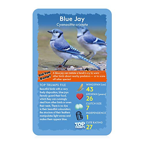 Top Trumps Birds Top Trumps Card Game 1