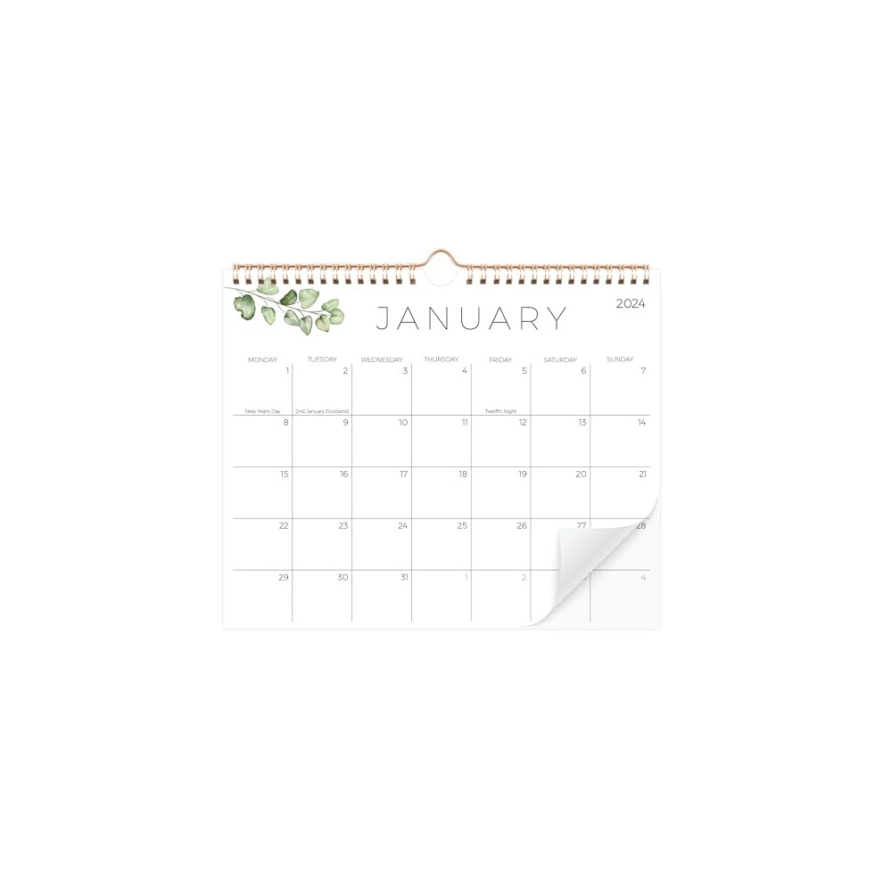 2024 Calendar Month to View - 18 Month Wall Calendar from Jan 2024- June 2025 Monthly Calendar Planner for Office Family,Simple Greenery