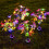 (Multi-B) Solar LED Butterfly Ground Lamp Outdoor Lighting 2