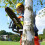 Ryobi Ryobi ONE+ Brushless 30cm Chainsaw 18V OCS1830-0 Tool Only 6
