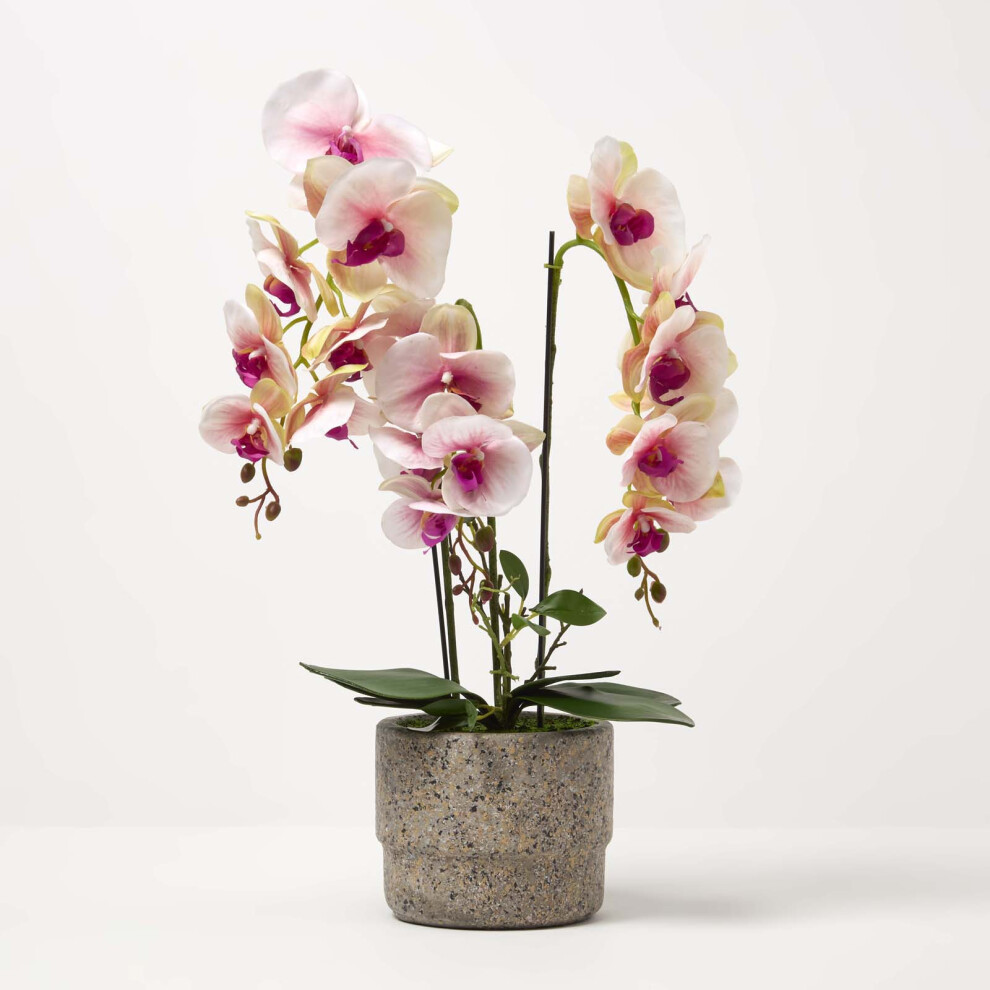 Homescapes Pink Orchid 64 cm Phalaenopsis in Cement Pot Extra Large, 3 Stems