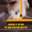 ONESAVE Long Handle Rubber Broom Pet Hair Remover 5