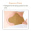 Wormwood Lumbar Patch Plaster 1 pack/12 pieces 5