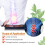 Wormwood Lumbar Patch Plaster 1 pack/12 pieces 4