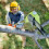 Ryobi Ryobi ONE+ 20cm Pole Saw 18V OPP1820 Tool Only 4