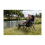 Coleman Forester Deck Chair 6