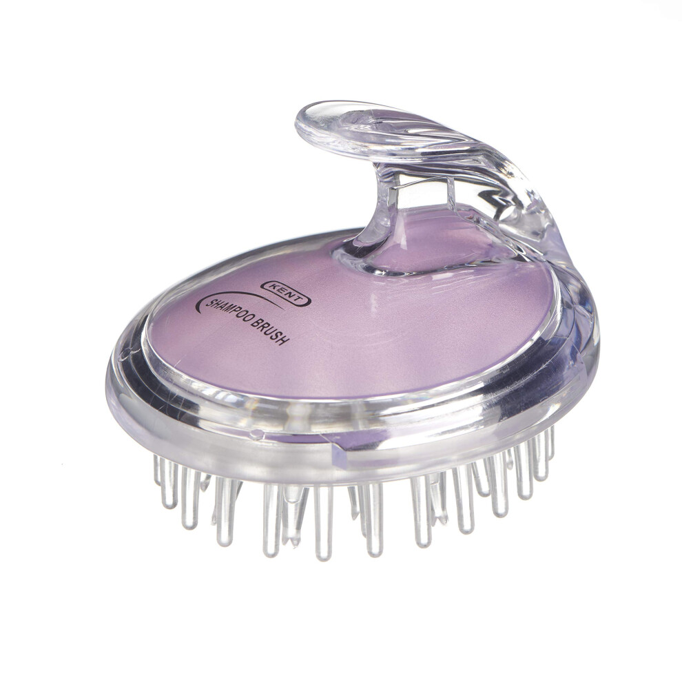 Brushes Shampoo & Scalp Massage Brush - Ideal for Applying Shampoo and Massaging to Encourage Hair Growth - For All Hair Types - Purple