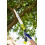 Spear & Jackson Kew Gardens Razorsharp Large Folding Pruning Saw 4
