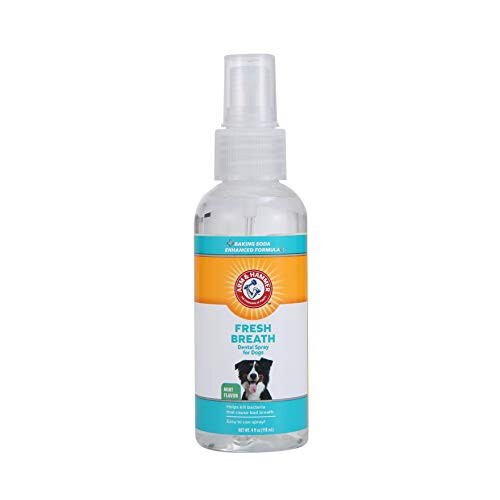 Fresh Breath Dental Spray, Mint