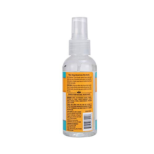 Fresh Breath Dental Spray, Mint 1