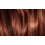 L’Oréal Paris Permanent Hair Dye Color Preference Preference Colpi di Sole N.6 Mogano 2