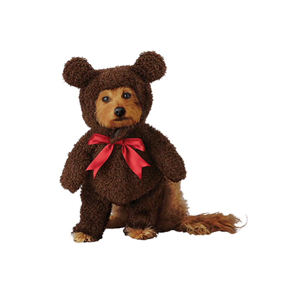 Costume Da Orsacchiotto, Divertente, Per Cani, Animali Domestici Large