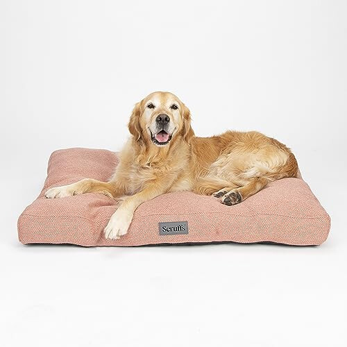 Scruffs Seattle Mattress (M) 1