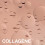 Maybelline New York FPS13 Liquid Foundation 6