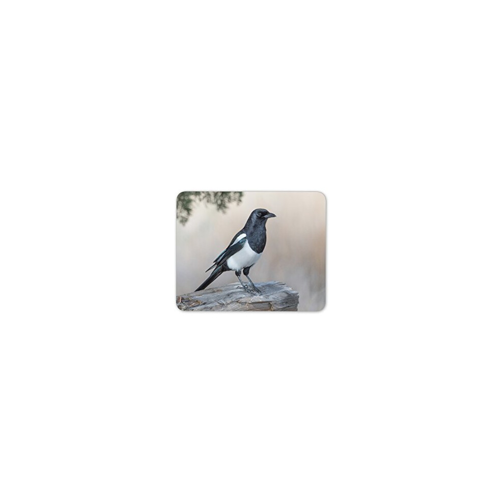 Beautiful Magpie Bird Mouse Mat Pad - Birds Crow Raven Pc Computer #8765 7625897406495