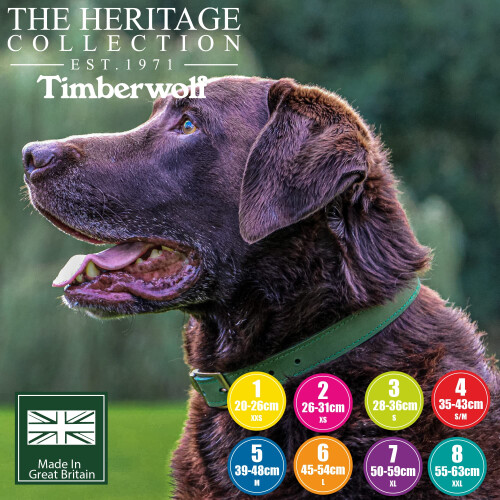 Ancol Timberwolf Leather Collar Green 55-63cm Size 8 2