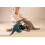 Steiff 067129 Thaisen T-Rex 35 turquoise 4