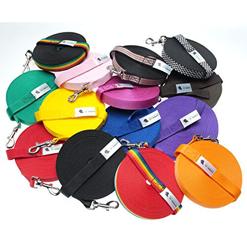 100ft/30m Rainbow dog training lead 2