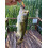 Soft Plastic Lures Artificial Bait Luminous Shrimp Fishing Lure Mixed Color Spinner Crank-Bait Fishing Lure with Hook Fishing Tackle 3.35" 0.013lb 4