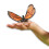 Learning Resources Jumbo Insects 11